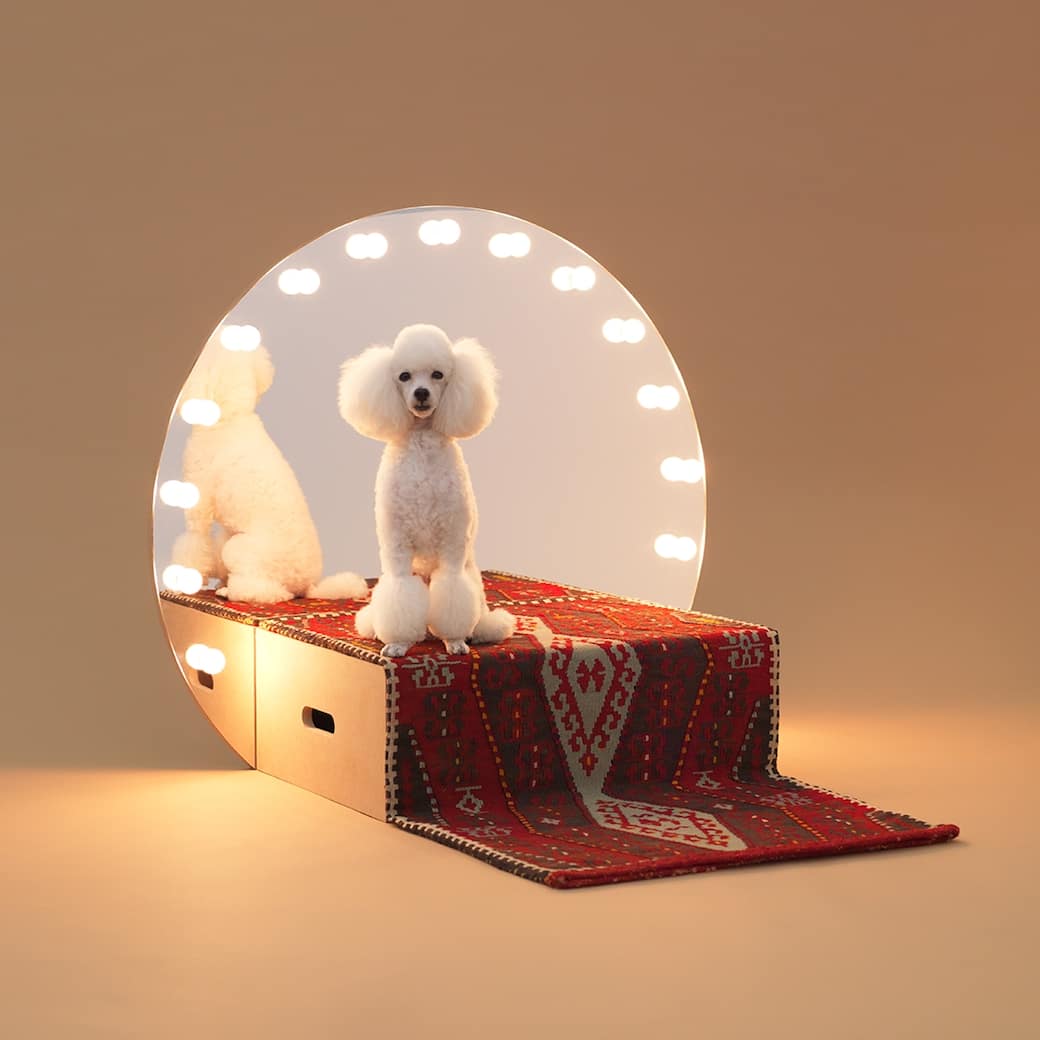 Konstantin_GRCIC_Toy_Poodle._Courtesy_of_Hara_Design_Institute._Ph._HIROSHI_YODA.jpg