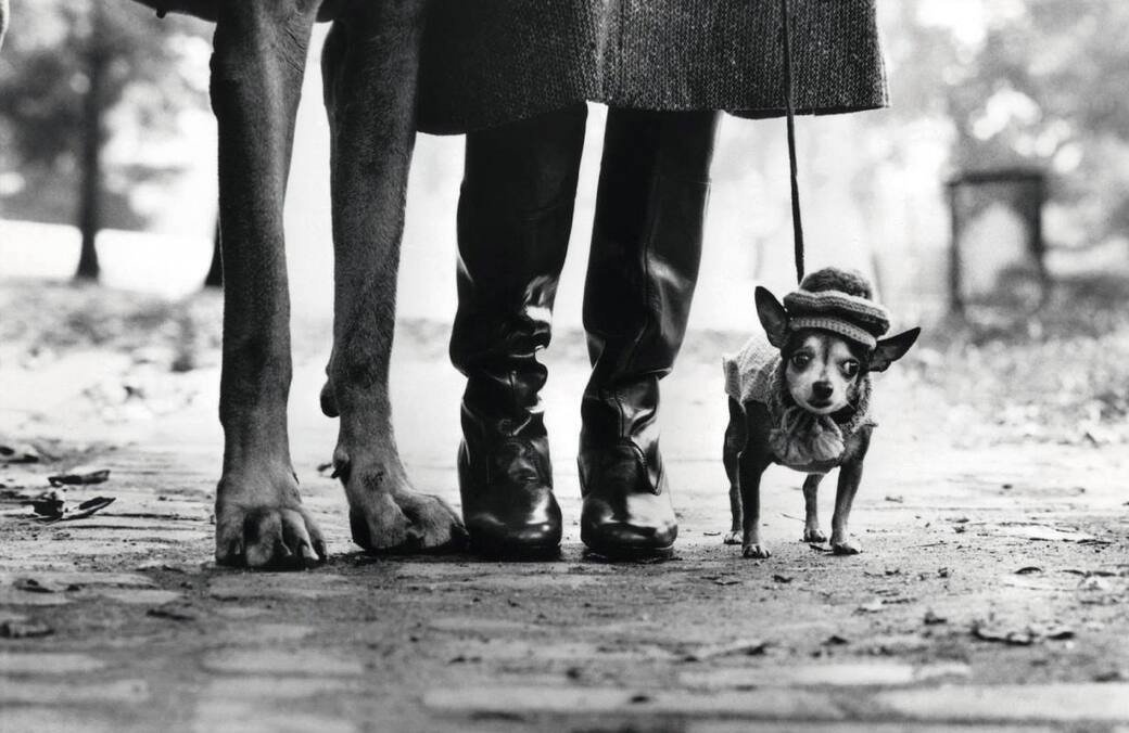 Elliott_Erwitt_Central_Park_New_York_1974.jpg