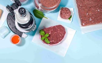 Lab grown meat alternatives concept, Various laboratory grown meat types red and white meat with microscope, laboratory accessories, measuring utensil