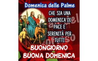 auguri domenica delle palme