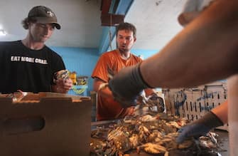 LAROSE, LA - MAY 03:  Cody Fonseca (L) and his brother Chris sort through blue crab caught in the Barataria-Terrebonne National Estuary at the La Blue Crab Company on May 3, 2010 in Larose, Louisiana. Fishermen who fish the estuary are concerned that oil from the Deepwater Horizon spill in the Gulf of Mexico could adversely affect fishing either through oil contamination or overfishing as other fishermen seek out new areas to make a living.  (Photo by Scott Olson/Getty Images)