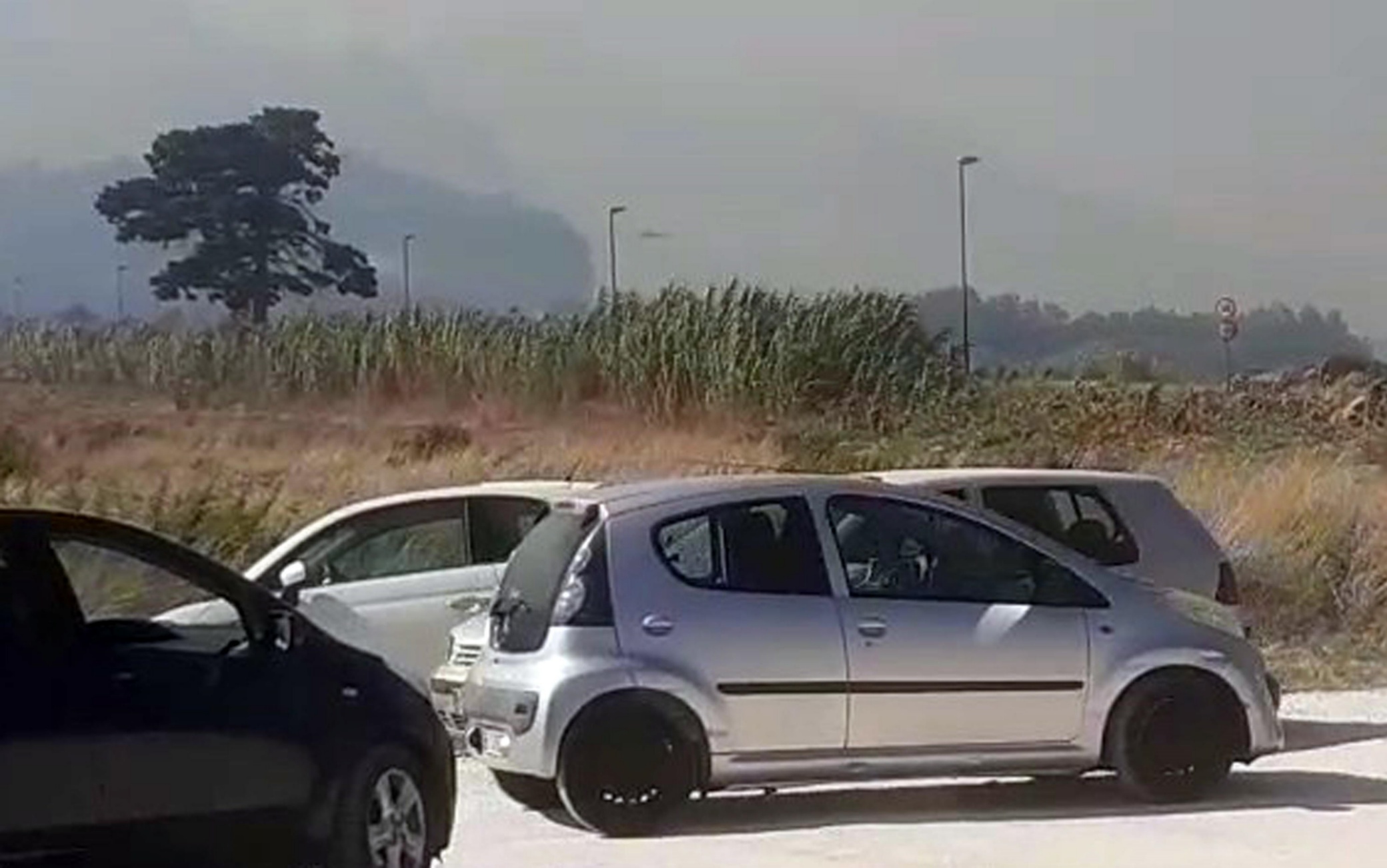 FRAME DA VIDEO - incendio all'aeroporto siciliano, fuga dei turisti
fonte Ignazio Marchese