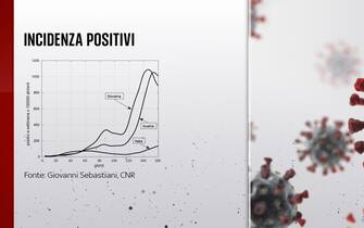 L'incidenza dei positivi in Slovenia, Austria e Italia