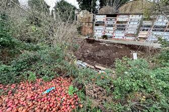 Una ventina di bare e 80 urne sono finite in un torrente in seguito al cedimento di un'ala del cimitero. È accaduto a S. Agata dei Goti, in provincia di Benevento, 19 gennaio 2023. ANSA/ CESARE ABBATEW