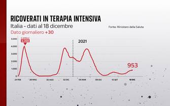 Ricoverati in terapia intensiva