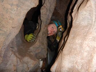 General View (Researchers Announce Discovery of Ancient Skull and Teeth in South Africa)