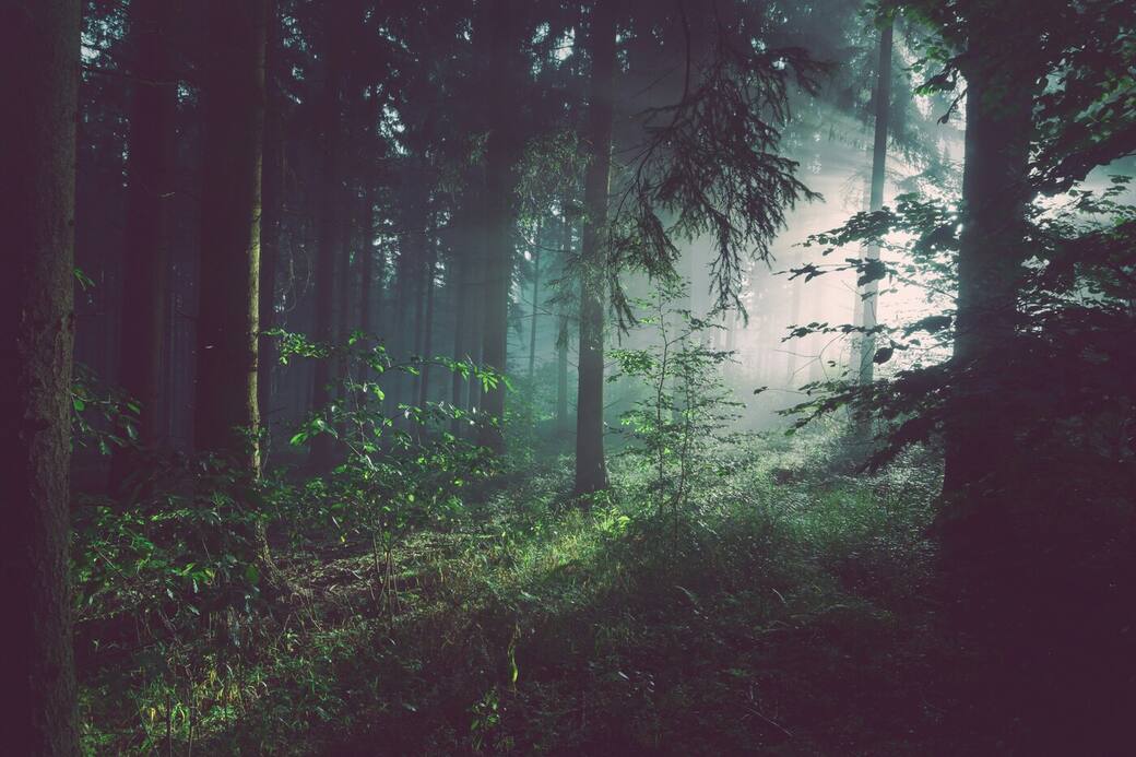 foto di Sebastian Unrau su Unsplash