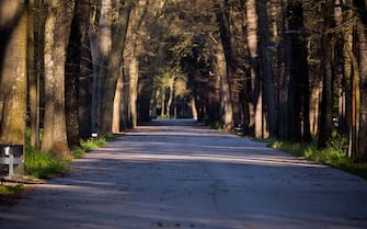 Parco a Firenze