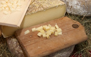 Formaggi stagionati
