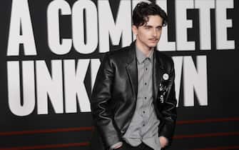 09-a-complete-unknown-cast-red-carpet-los-angeles-ipa - 1