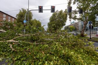 Foto Stefano Porta/LaPresse
24-07-2023 Milano, Italia - Albero caduto sulla carreggiata di Viale Fulvio Testi per il forte vento e il violento temporale, traffico bloccato

July 24, 2023 Milan, Italy - News - Tree fallen on Viale Fulvio Testi roadway due to strong wind and violent storm, traffic blocked