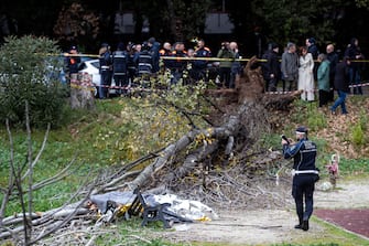 Agenti di Polizia sul luogo in cui una donna è morta, schiacciata da un albero caduto per il forte vento, in via Cesare Massimo a Colli Aniene, Roma, 23 dicembre 2024.
ANSA/ ANGELO CARCONI