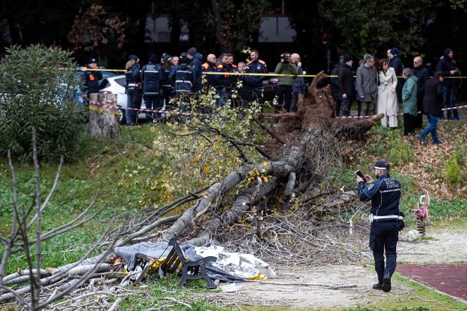 Agenti di Polizia sul luogo in cui una donna è morta, schiacciata da un albero caduto per il forte vento, in via Cesare Massimo a Colli Aniene, Roma, 23 dicembre 2024.
ANSA/ ANGELO CARCONI