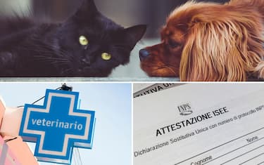 hero-cane-gatto-veterinario-bonus-animali