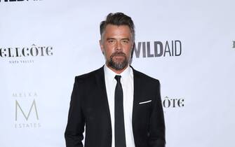 Josh Duhamel
