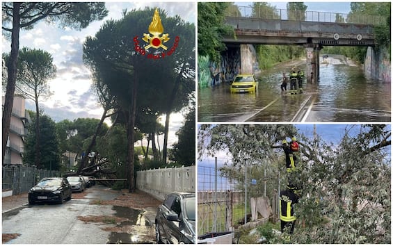 Maltempo in Emilia Romagna, allagamenti e alberi caduti a Rimini e Cesenatico. FOTO Maltempo in Emilia Romagna, allagamenti e alberi caduti a Rimini e Cesenatico. FOTO