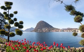 Lugano, Switzerland: Parco Ciani, city garden with fresh flowers of the current season. Intense color of flowers on a fine spring day.