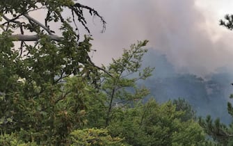 Il fumo causato da un incendio vicino al santuario di Polsi