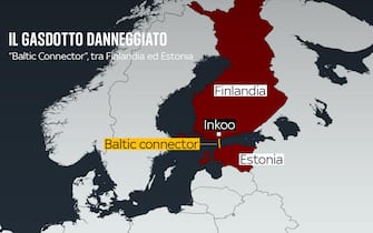 una grafica sul baltic connector