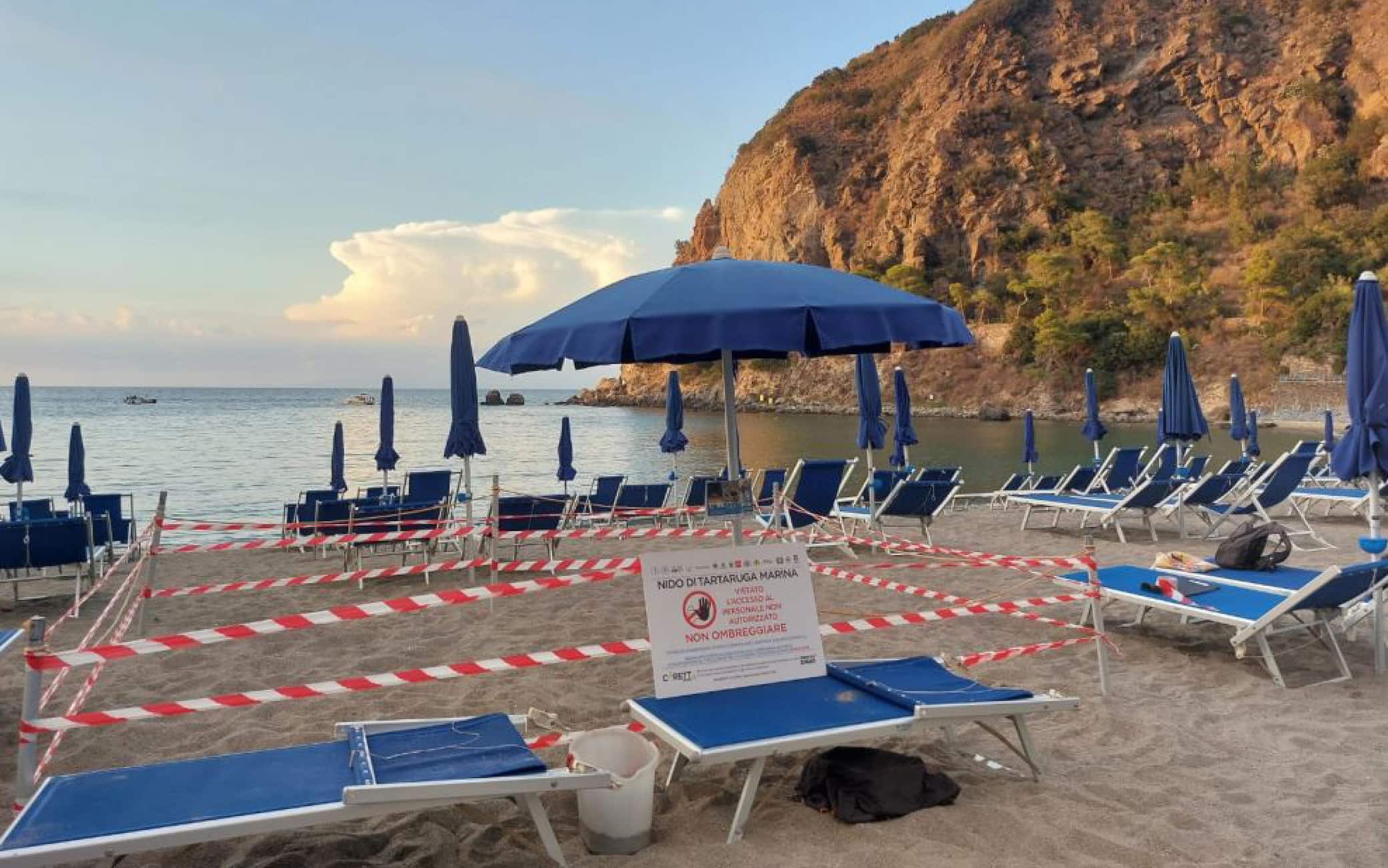 In una foto fornita da Regno di Net alcune della circa sessanta tartarughe caretta nate sulla spiaggia ischitana di San Montano, Ischia, 31 luglio 2022. Altre potrebbero nascerne ancora oggi dal nido in cui la madre
dovrebbe aver deposto le uova circa quaranta giorni fa.
Nel pomeriggio di ieri sull'arenile della baia famosa per la
spiaggia con l'acqua bassa i bagnanti si sono accorti che alcune
tartarughine erano emerse dalla sabbia e cercavano la strada
verso il mare. ANSA +++ HO NO SALES - DITORIAL USE ONLY +++ o +++ ANSA PROVIDES ACCESS TO THIS HANDOUT PHOTO TO BE USED SOLELY TO ILLUSTRATE NEWS REPORTING OR COMMENTARY ON THE FACTS OR EVENTS DEPICTED IN THIS IMAGE; NO ARCHIVING; NO LICENSING +++