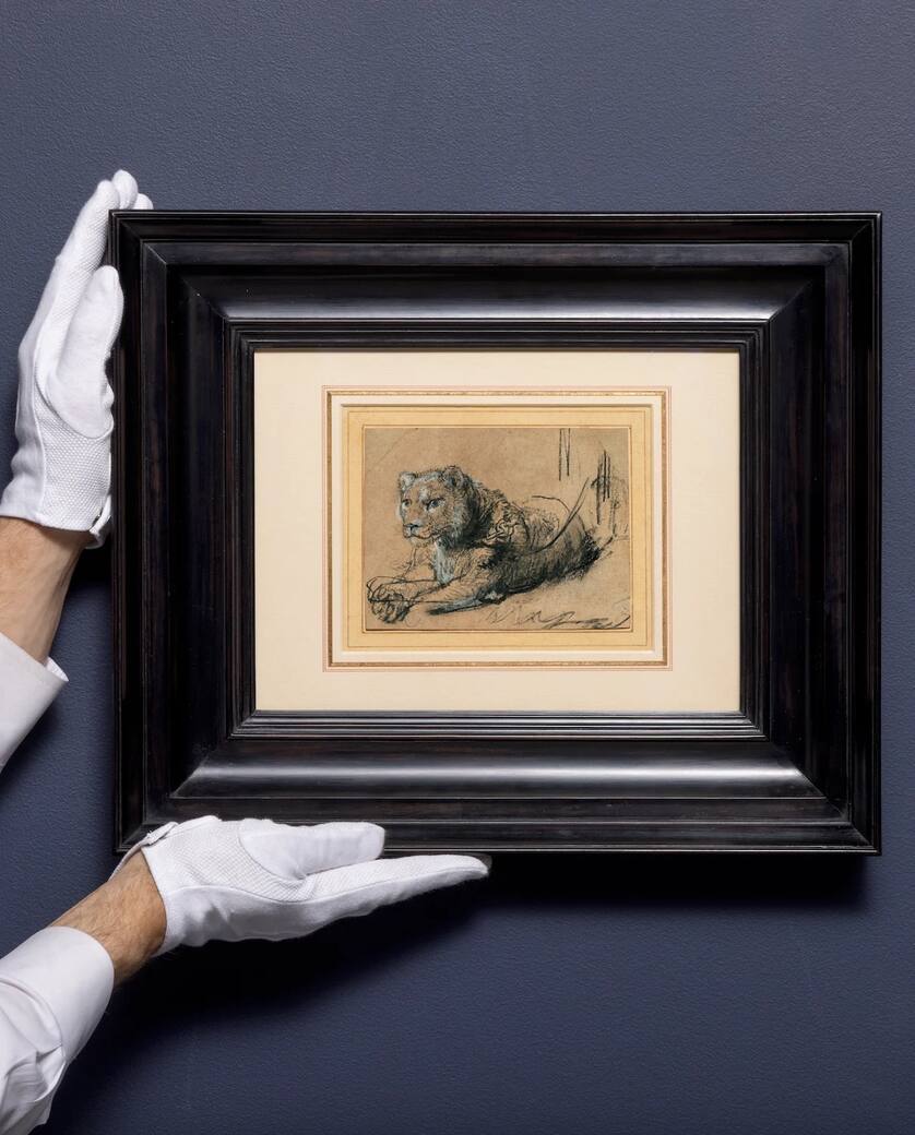 Framed/ Rembrandt Harmensz. van Rijn, Young Lion Resting, ca. 1638–42, Black chalk with white chalk heightening and grey wash on brown laid paper, 115 x 150 mm (via ARTRIBUNE)