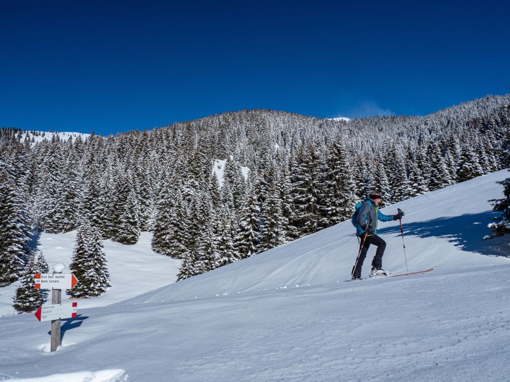 Ski mountaineering on Mount Cornetto di Folgaria, plateau of Folgaria and Lavarone, Trentino, Italy, Europe. (Photo by: Marco Simonini/REDA&CO/Universal Images Group via Getty Images)