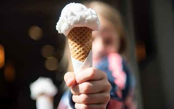 Scappa in treno a 7 anni per prendere un gelato a Milano. Madre: "Iperattivo e plusdotato" Scappa in treno a 7 anni per prendere un gelato a Milano. Madre: "Iperattivo e plusdotato"