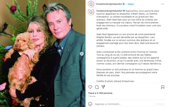 Il post della fondazione Brigitte Bardot