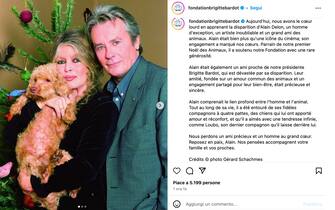 Il post della fondazione Brigitte Bardot Il post della fondazione Brigitte Bardot