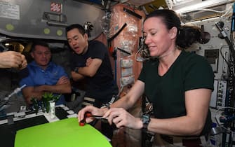 cibo risultato di un progetto di agricoltura spaziale