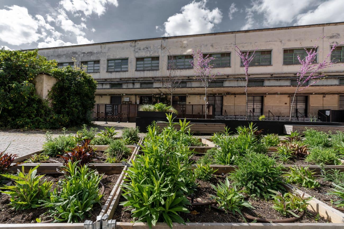 Botanica-Temporanea-Manifattura-Tabacchi-Firenze.-Photo-Andrea-Martiradonna.jpg