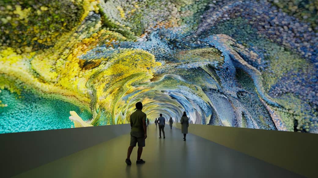 Refik Anadol, Data Tunnel