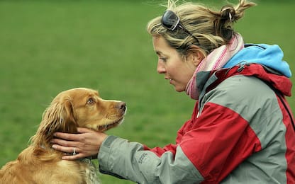 Parole e suoni con toni acuti invitano i cani a giocare