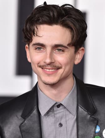 13-a-complete-unknown-cast-red-carpet-los-angeles-ipa - 1