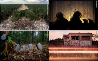 widlife photographer awards 2023