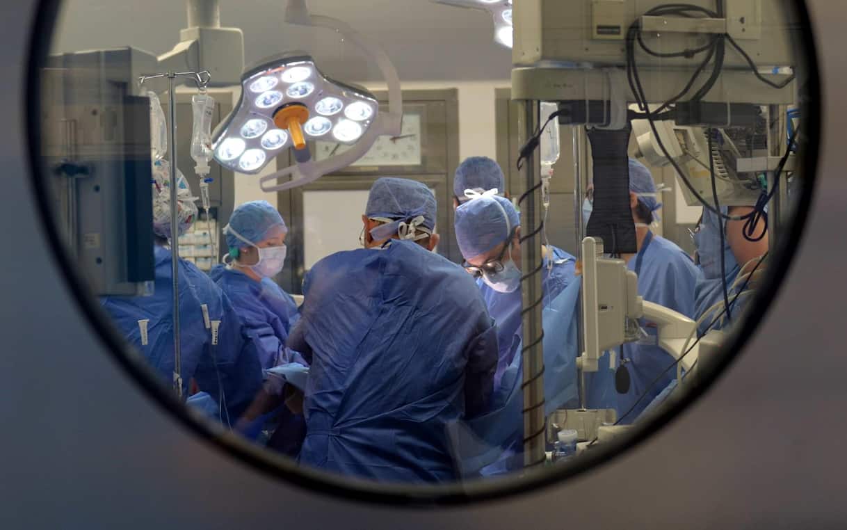 firenze bimbo operato per tumore al cervello invalido per errore maxi risarcimento