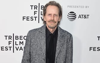 Stephene McHattie