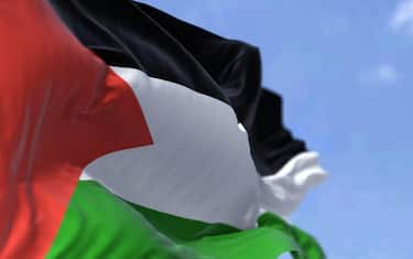 Detail of the national flag of Palestine waving in the wind on a clear day. Democracy and politics. Patriotism. Selective focus.