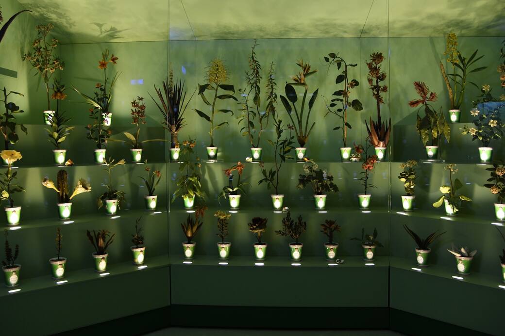 Specola_Arte_e_Scienza_cere_botaniche_(1).jpg