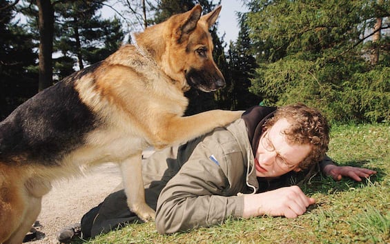Addio a Rex, è morto l’ultimo cane della serie tv discendente del primo ...