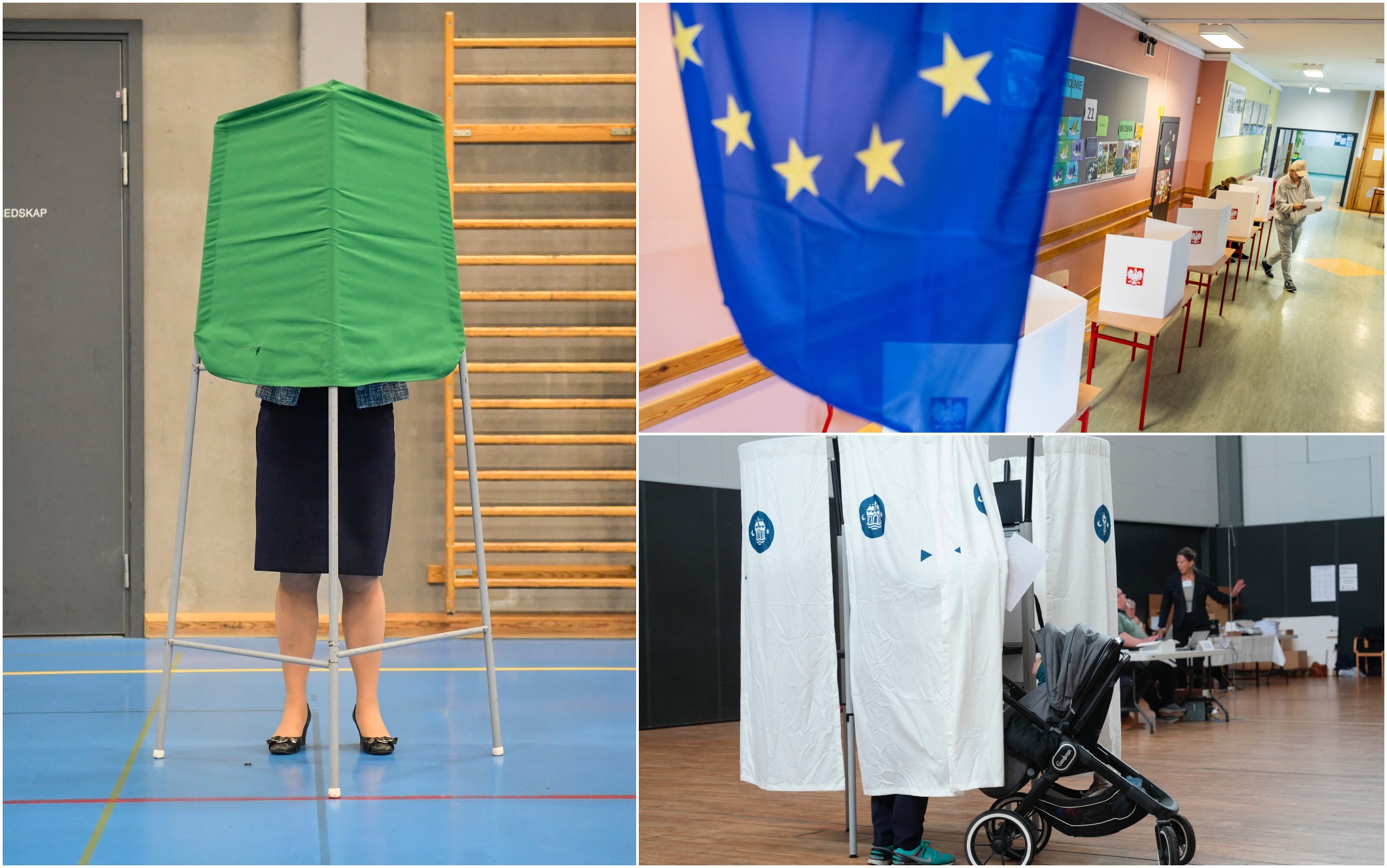 Germania, i risultati delle elezioni europee 2024 | Sky TG24