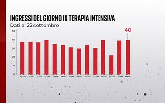 Grafiche coronavirus: gli ingressi del giorno in terapia intensiva