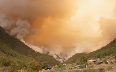  Incendio Tenerife, fiamme fuori controllo: bruciati 2600 ettari di boschi 