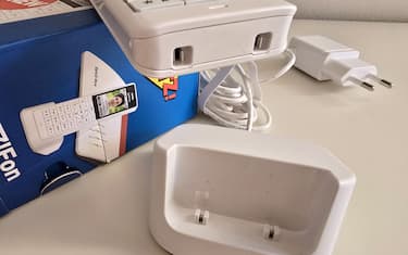 Verdetto, disponibilità e prezzi