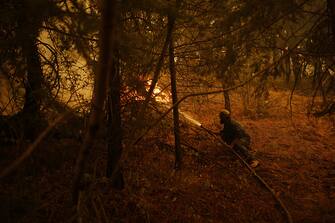 A resident sprays water on hot spots near a house in Celista, British Columbia, Canada, on Saturday, Aug. 19, 2023. Record-breaking wildfires in Canada, which have already scorched an area larger than Greece, are heading toward key population centers, forcing tens of thousands to evacuate. Photographer: Cole Burston/Bloomberg via Getty Images