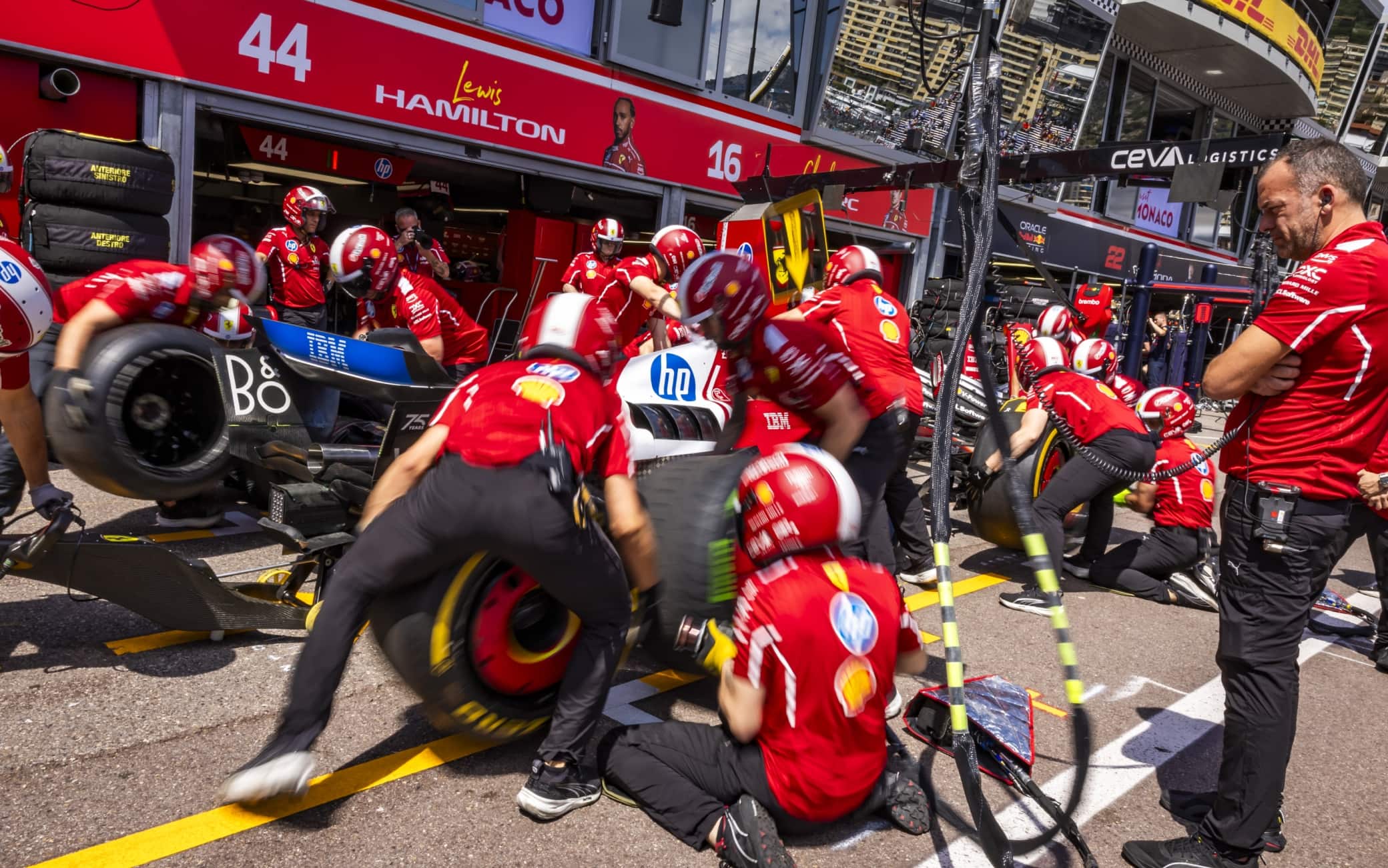 F1