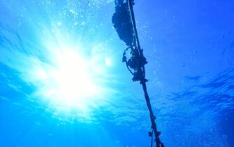 Rays of sunlight shining into sea, underwater view