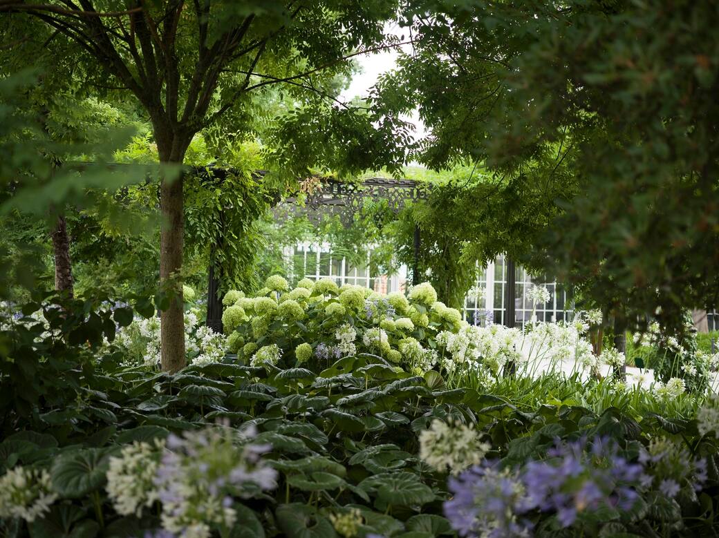 Giardini_Reali_di_Venezia_fotografia_di_Carlo_Soffietti.jpg