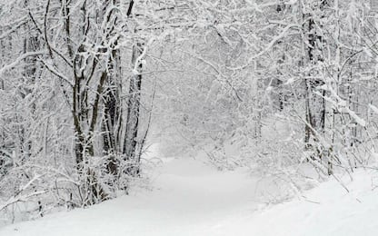 Maltempo: nubifragio a Roma, ancora pioggia e neve sull'Italia