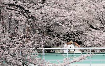 giappone